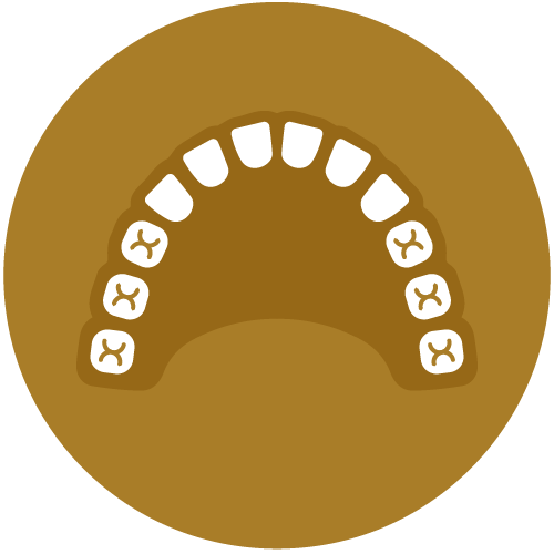 Orthodontic Evaluations